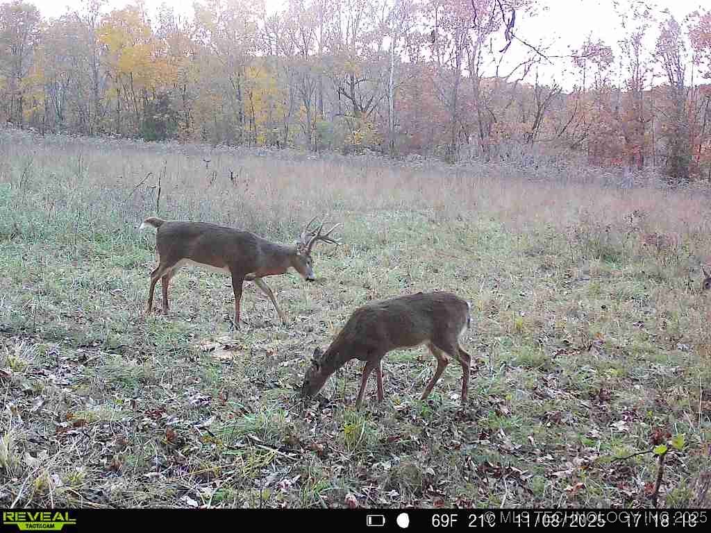 200 E 20 Road Property Photo 9