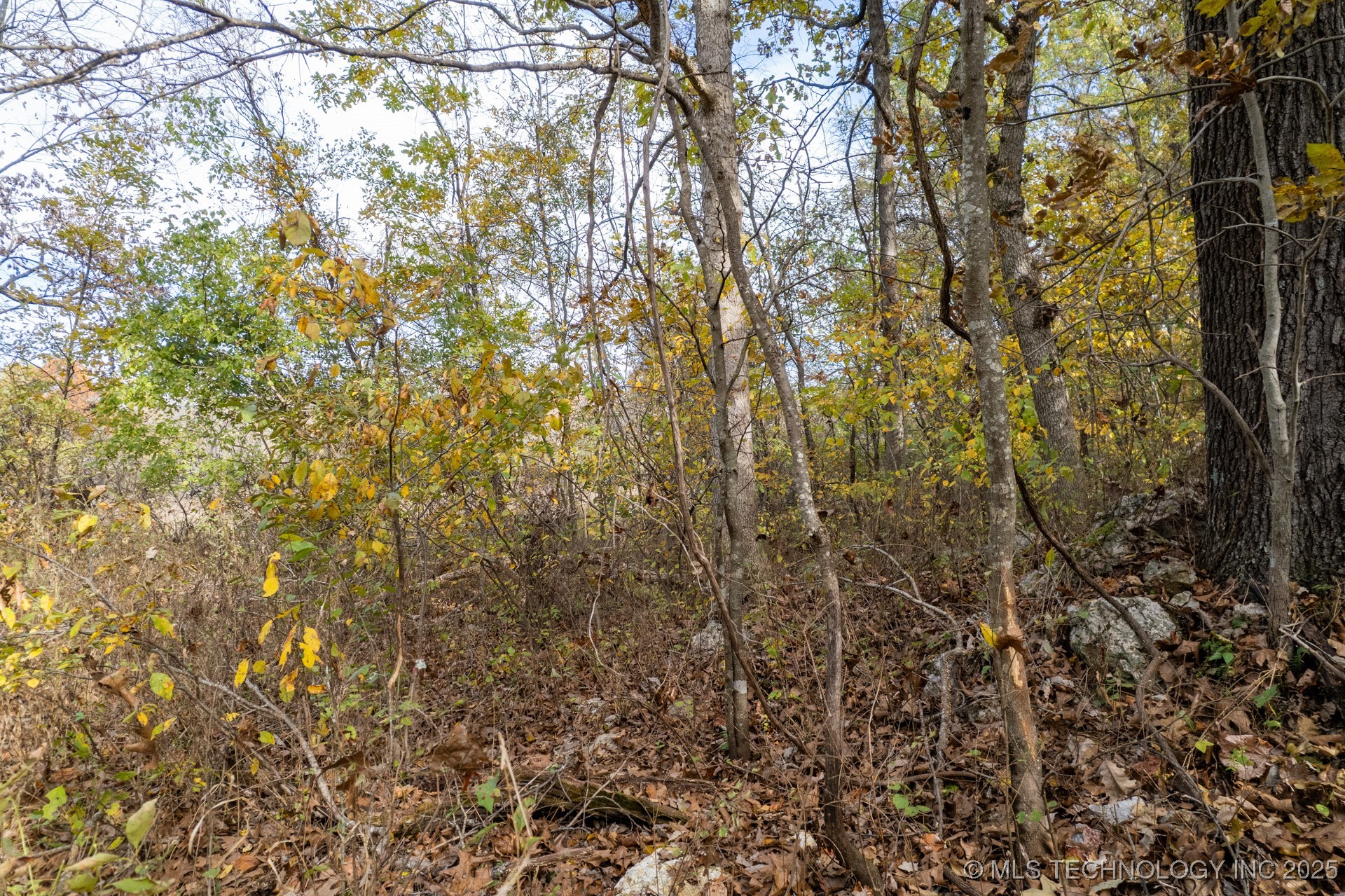 200 E 20 Road Property Photo 20