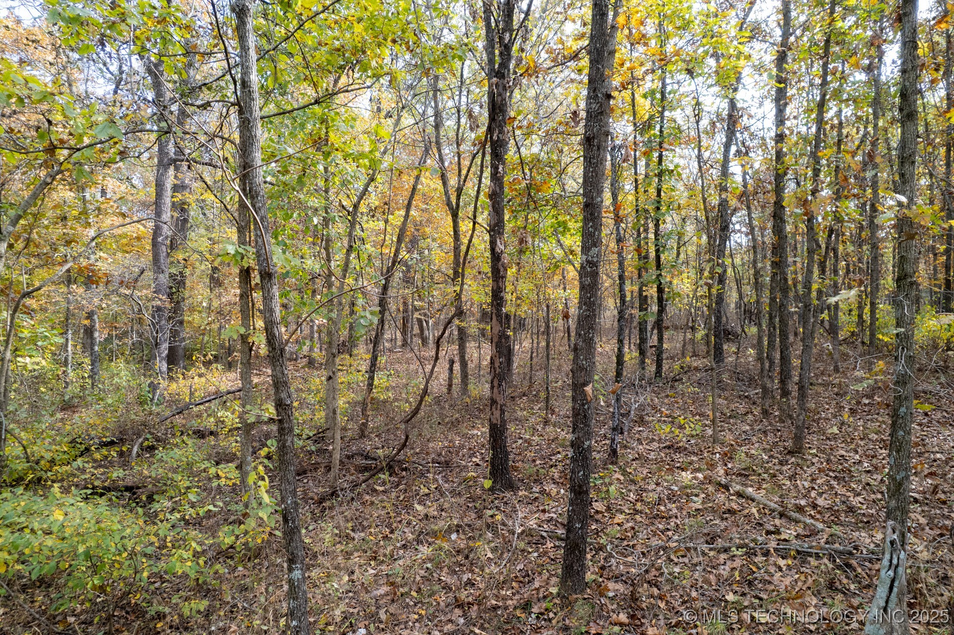 200 E 20 Road Property Photo 21