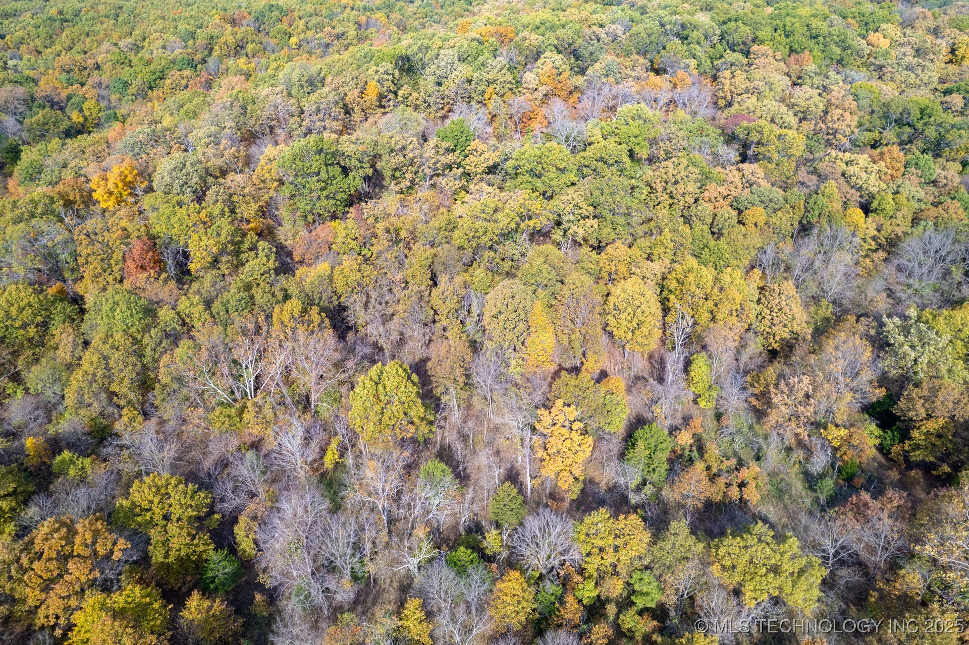 200 E 20 Road Property Photo 38