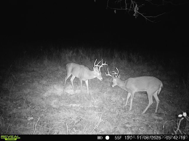 200 E 20 Road Property Photo 55