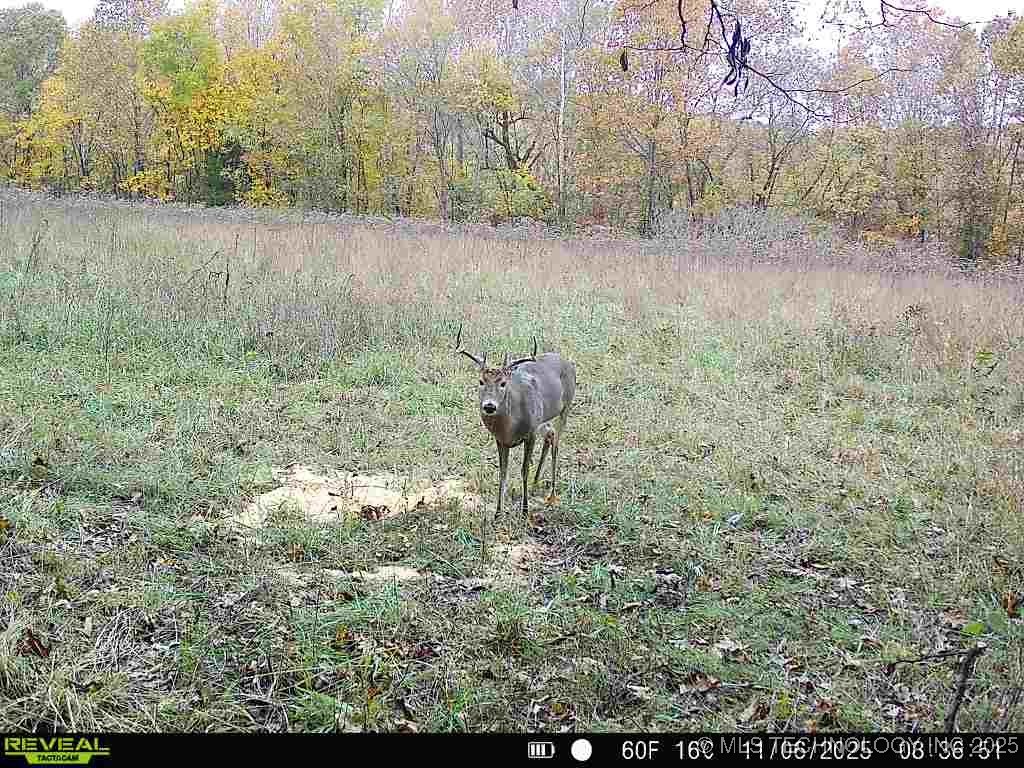 200 E 20 Road Property Photo 56