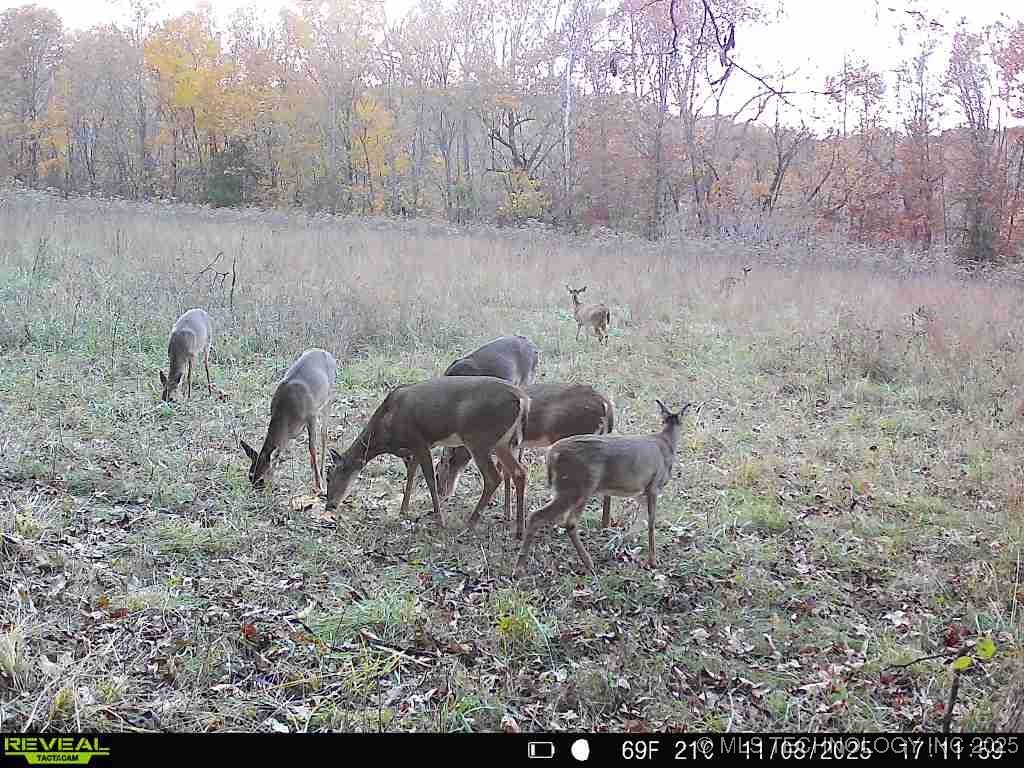 200 E 20 Road Property Photo 58