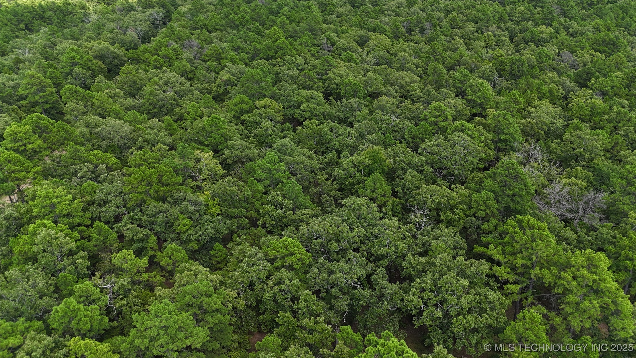 40215 Michael Lane Property Photo 14