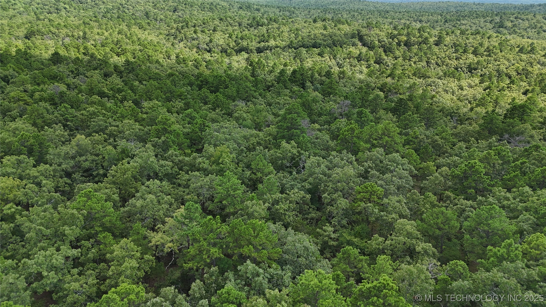 40215 Michael Lane Property Photo 15