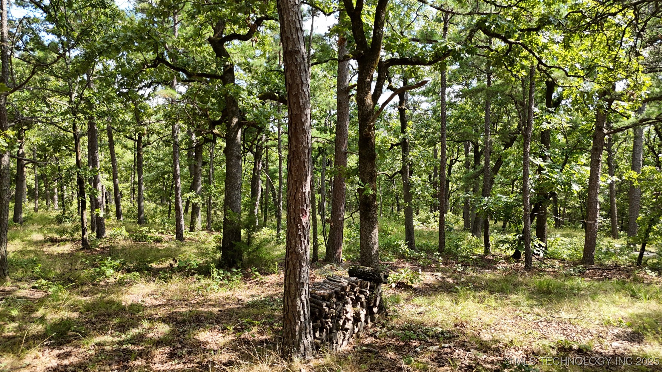 40215 Michael Lane Property Photo 16