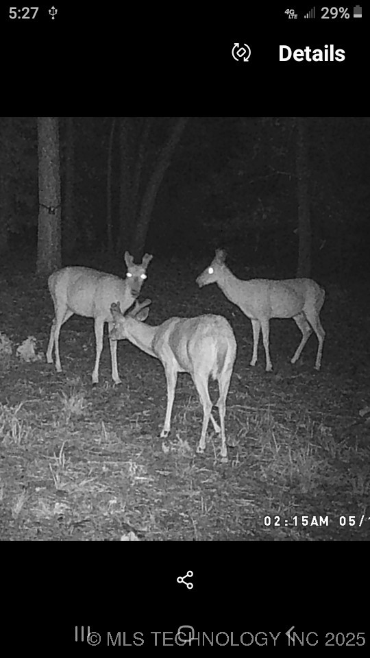 40215 Michael Lane Property Photo 19