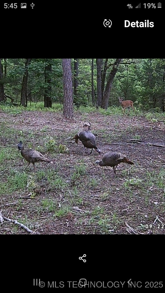 40215 Michael Lane Property Photo 20