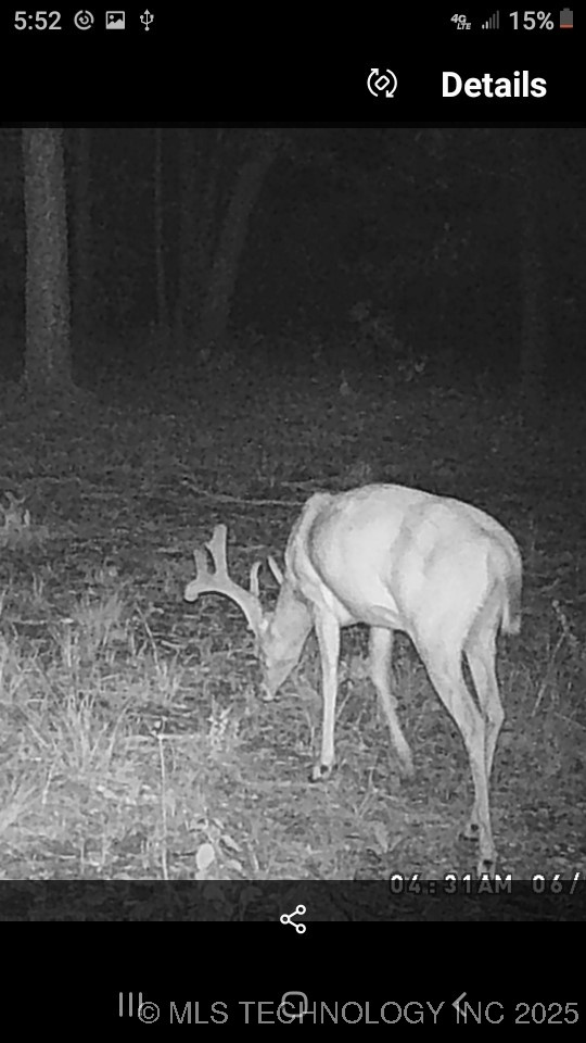 40215 Michael Lane Property Photo 21