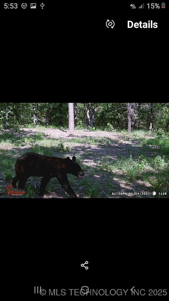 40215 Michael Lane Property Photo 22