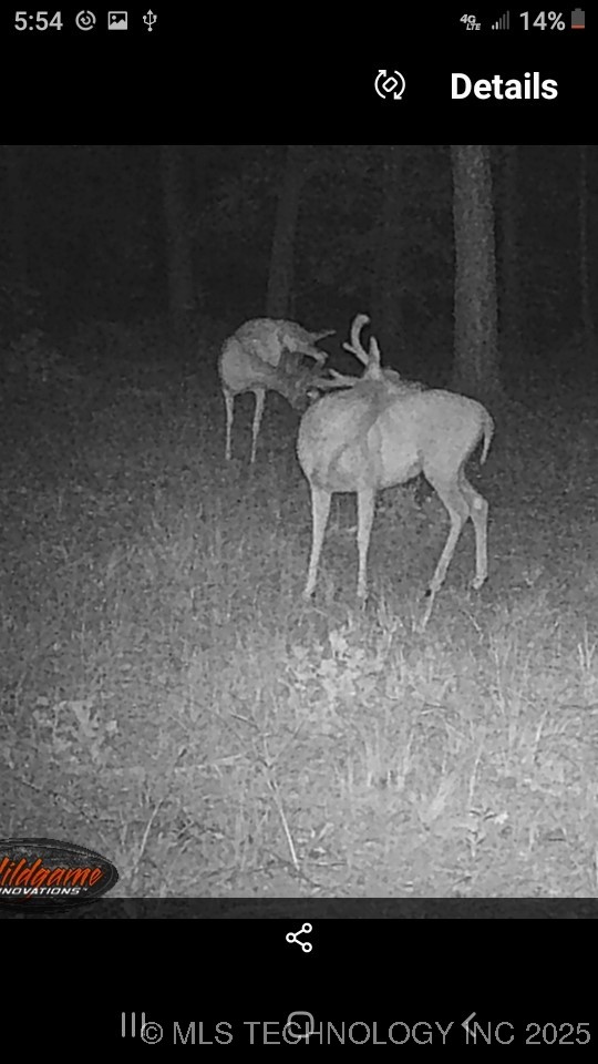 40215 Michael Lane Property Photo 23