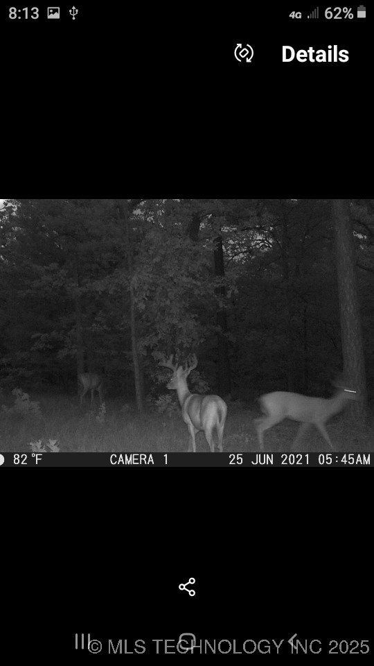 40215 Michael Lane Property Photo 24