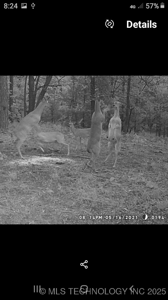 40215 Michael Lane Property Photo 25