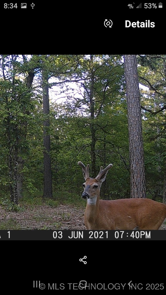 40215 Michael Lane Property Photo 26