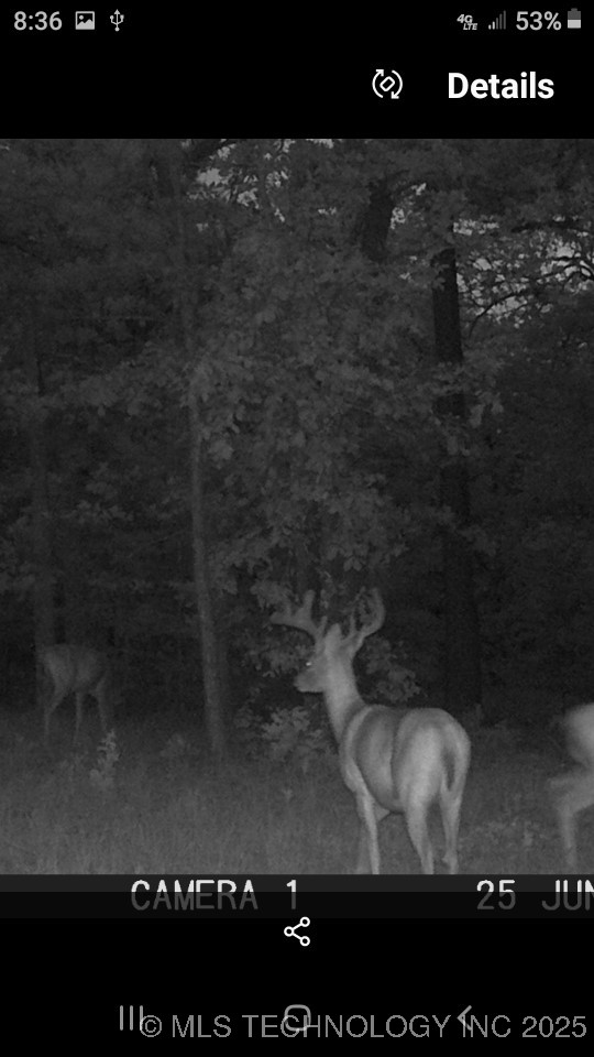 40215 Michael Lane Property Photo 27