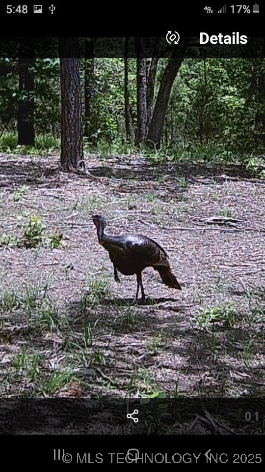 40215 Michael Lane Property Photo 28