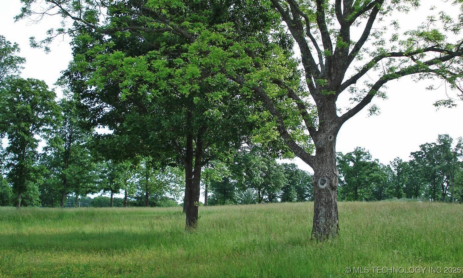 1112 Watercolor Drive Property Photo 10