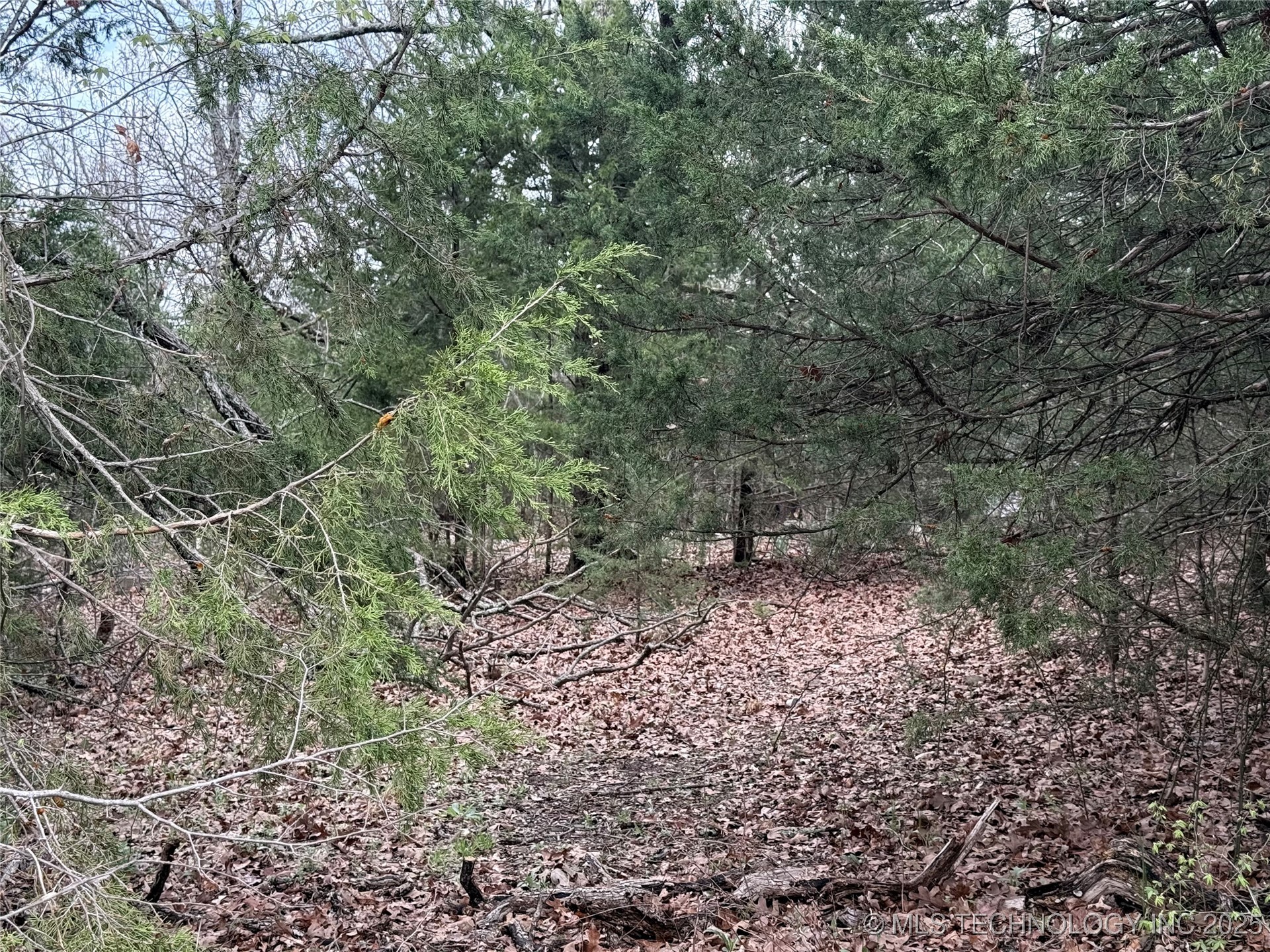 E Davis Street Property Photo 3