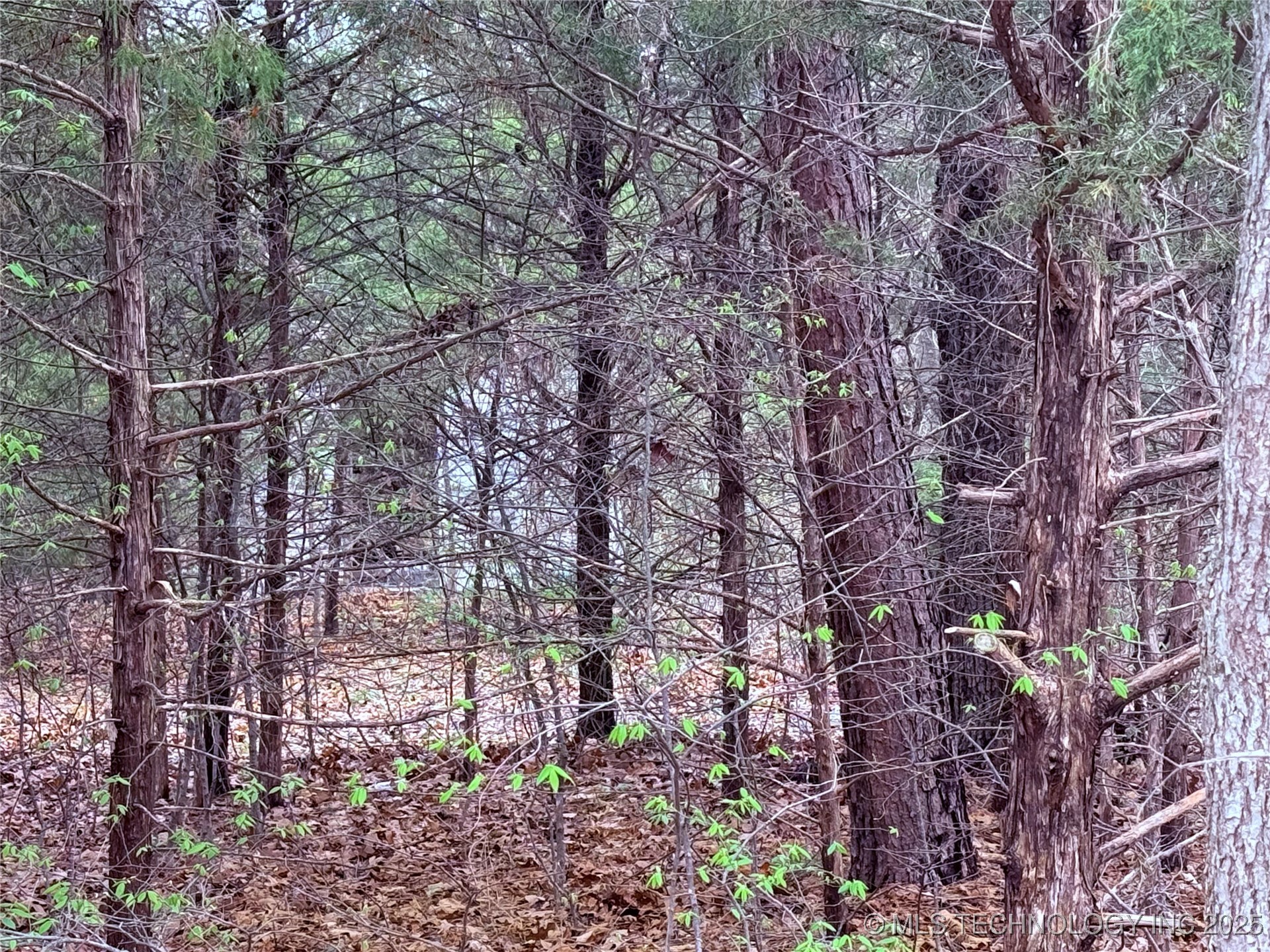 E Davis Street Property Photo 4