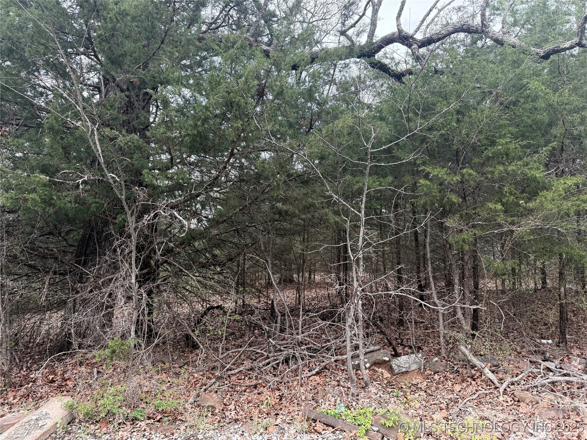 E Davis Street Property Photo 8