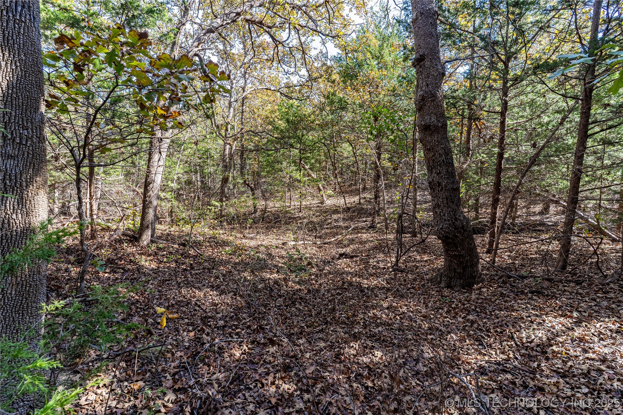 5518 W Coyote Trail Property Photo 8
