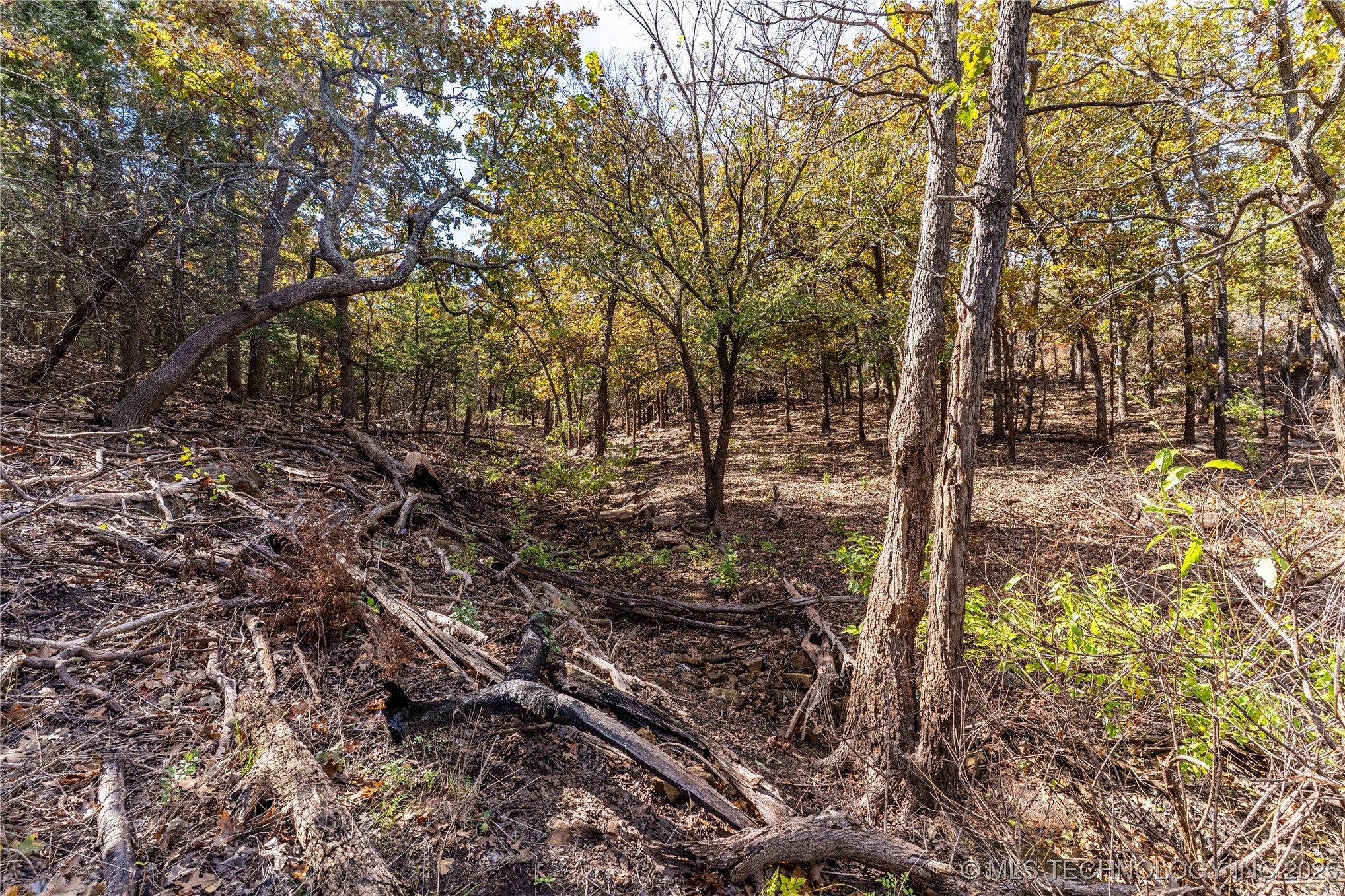 5518 W Coyote Trail Property Photo 15