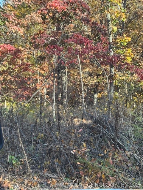 1308 Fawcett Lane Property Photo 3