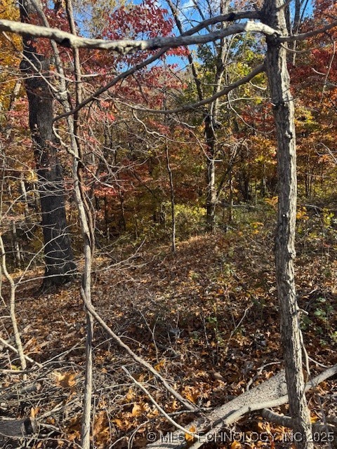 1308 Fawcett Lane Property Photo 6