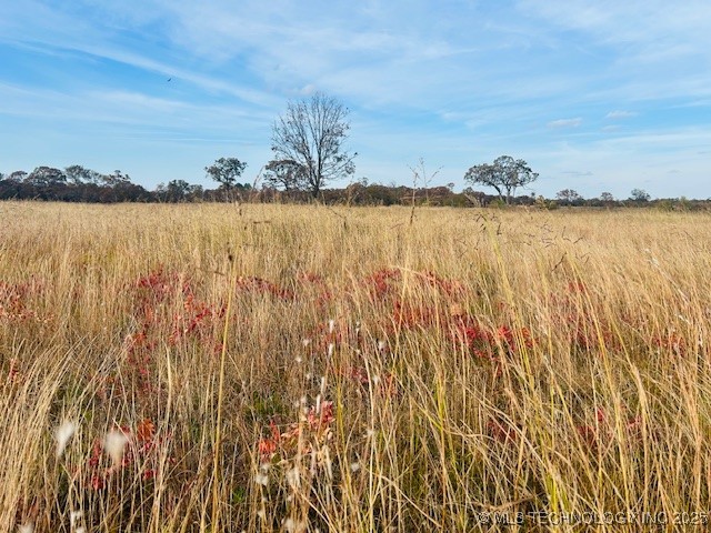 14221 Creager Road Property Photo 7