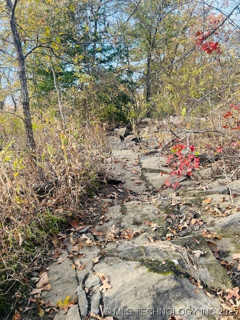 14221 Creager Road Property Photo 9