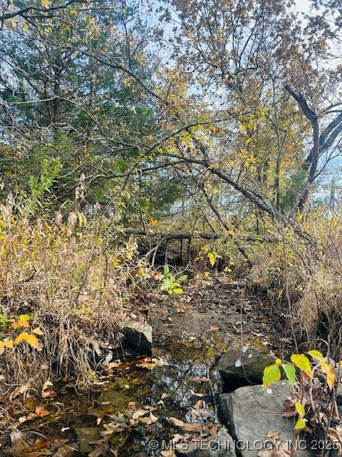 14221 Creager Road Property Photo 10