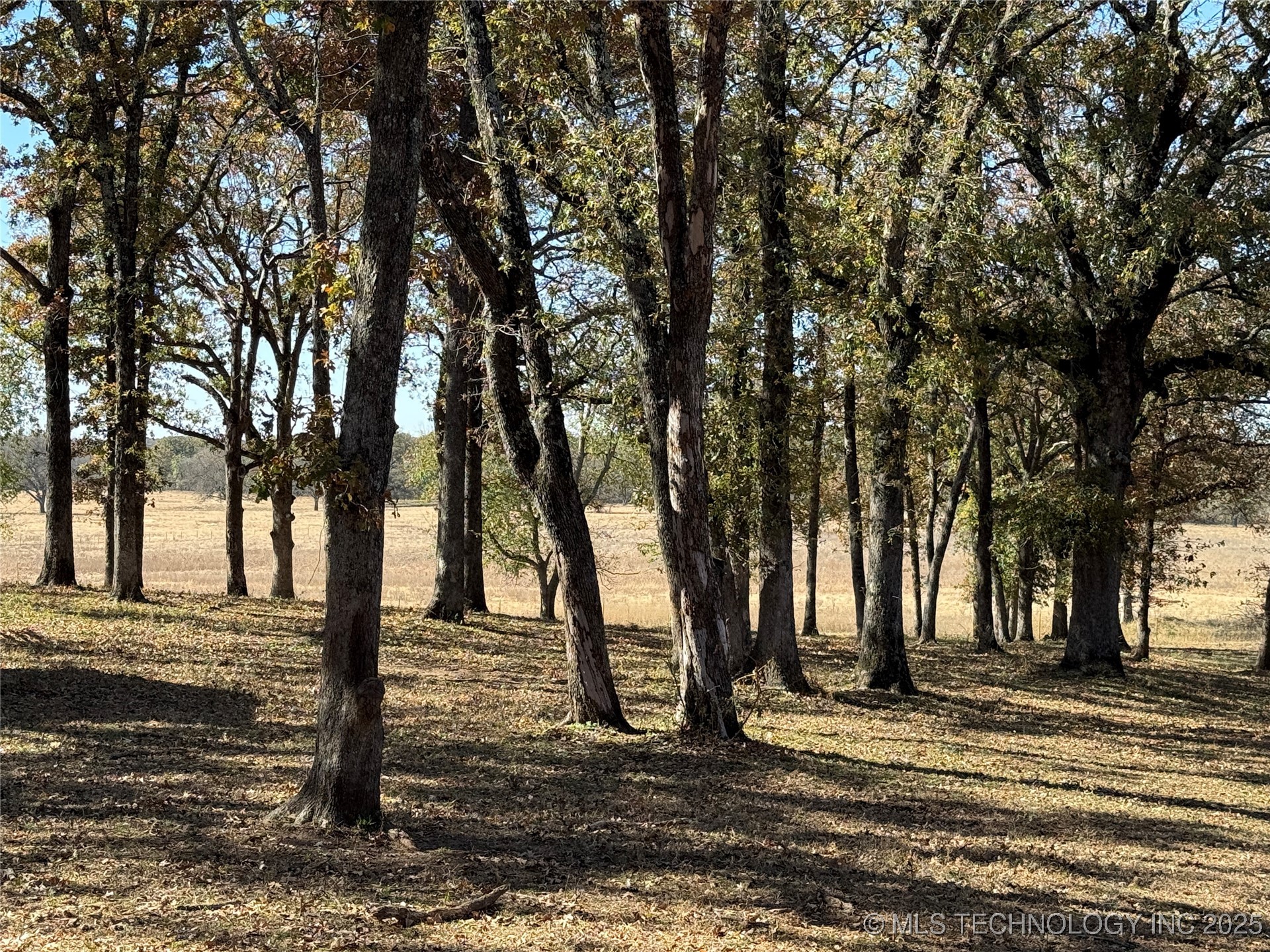 1500 Candlewood Property Photo 25