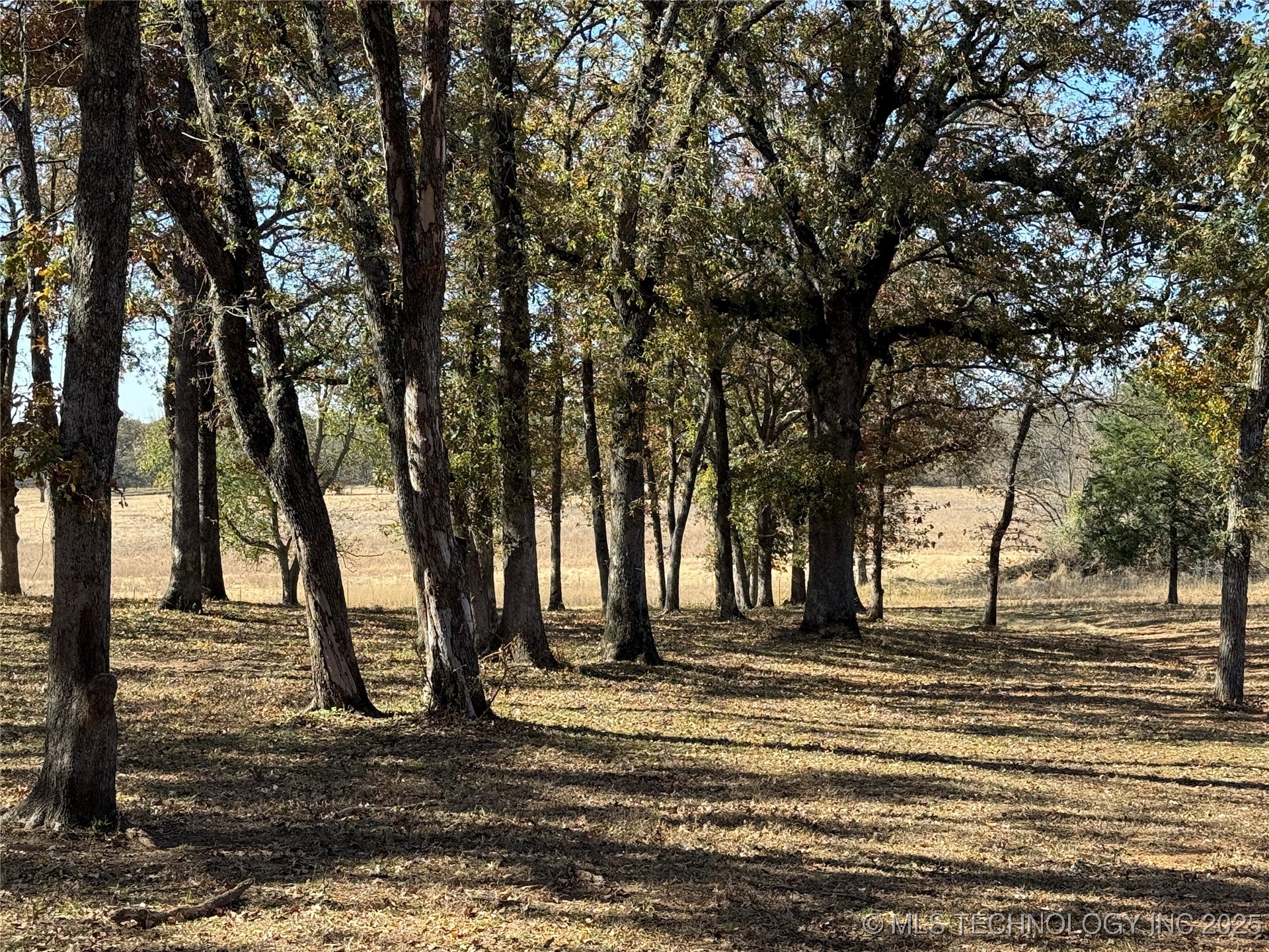 1500 Candlewood Property Photo 26