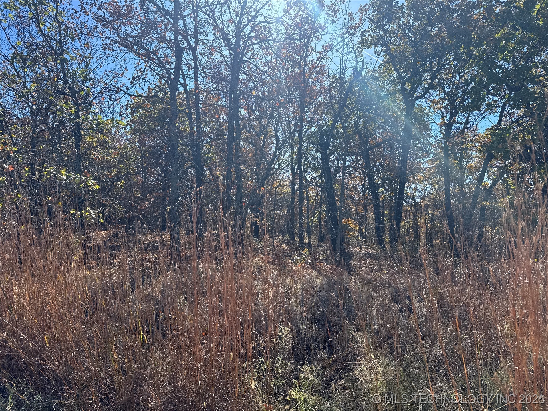 0000 S 209th Street S Property Photo 13