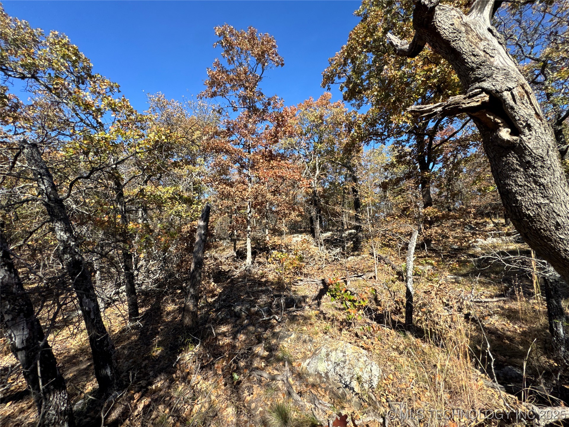 0000 S 209th Street S Property Photo 15