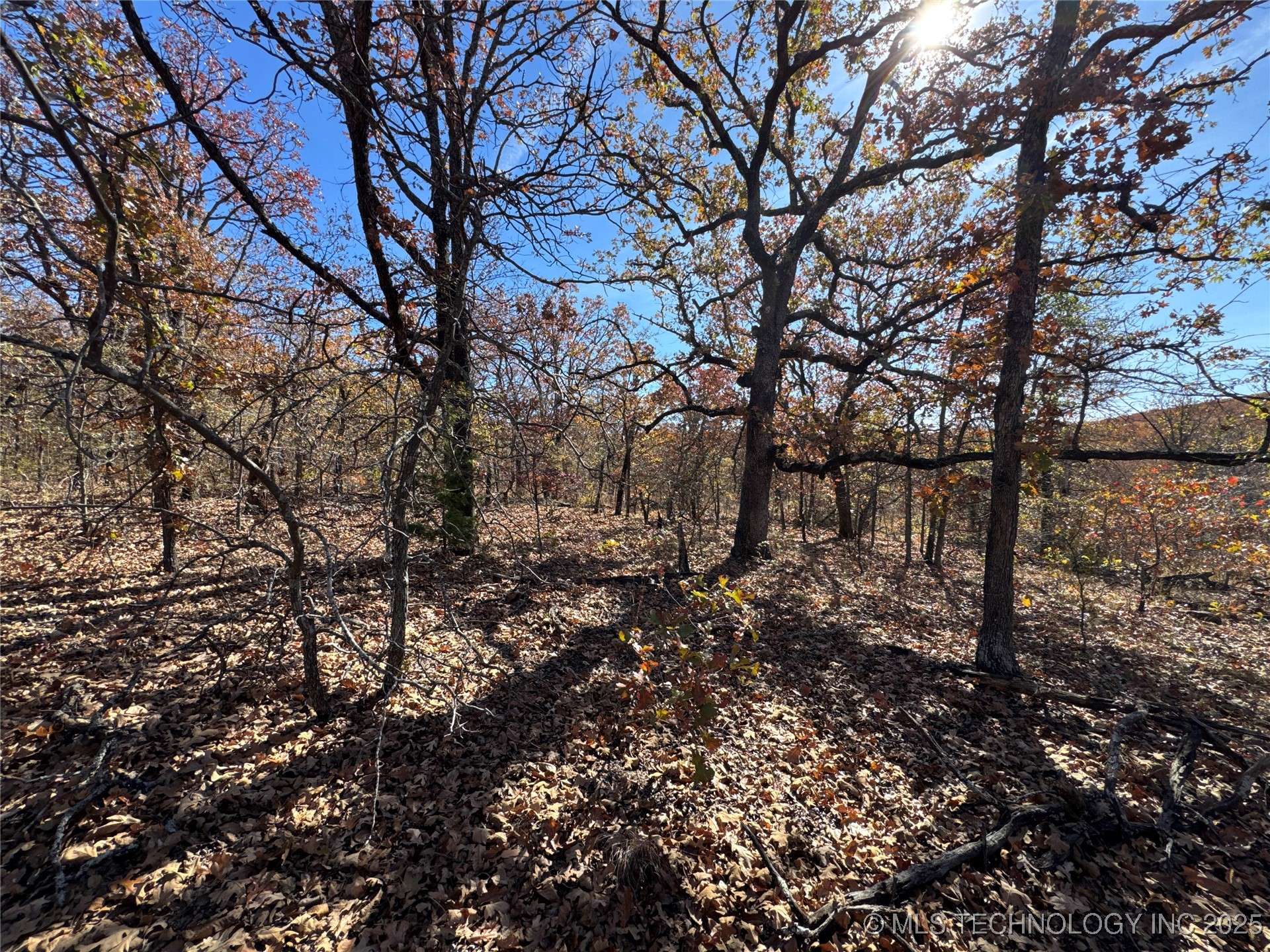 0000 S 209th Street S Property Photo 18