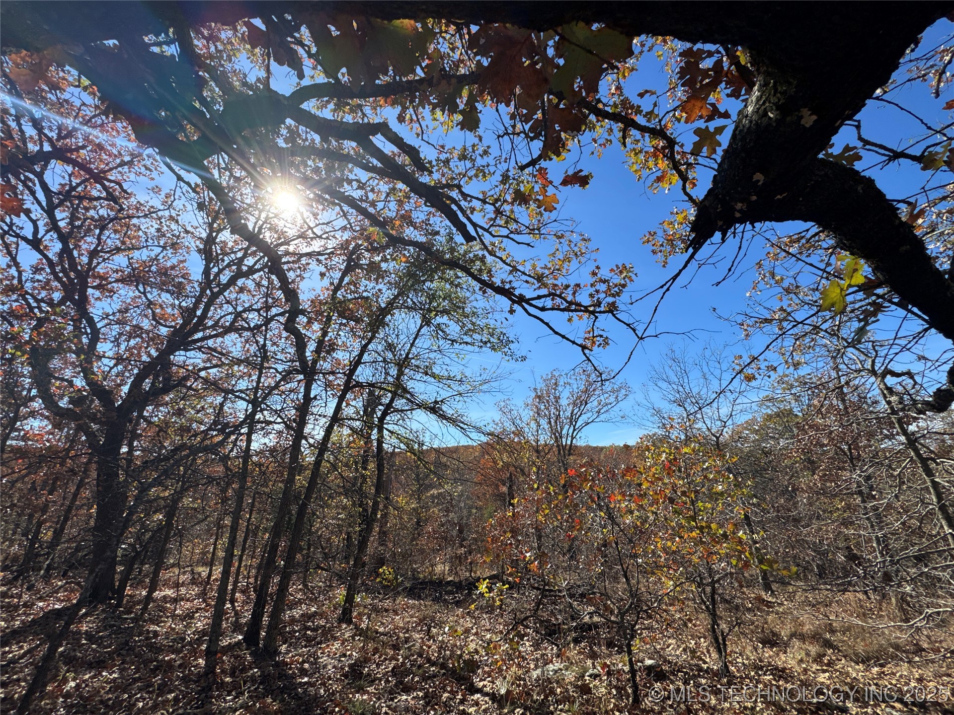 0000 S 209th Street S Property Photo 19