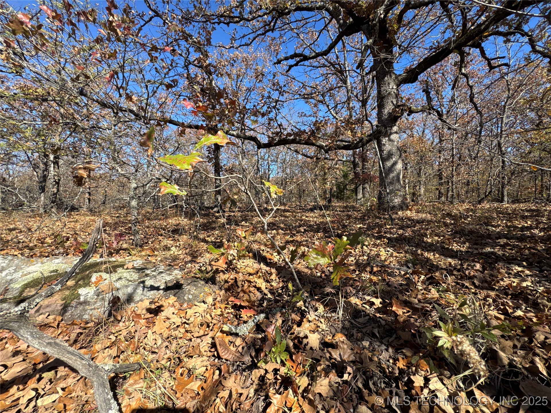 0000 S 209th Street S Property Photo 20