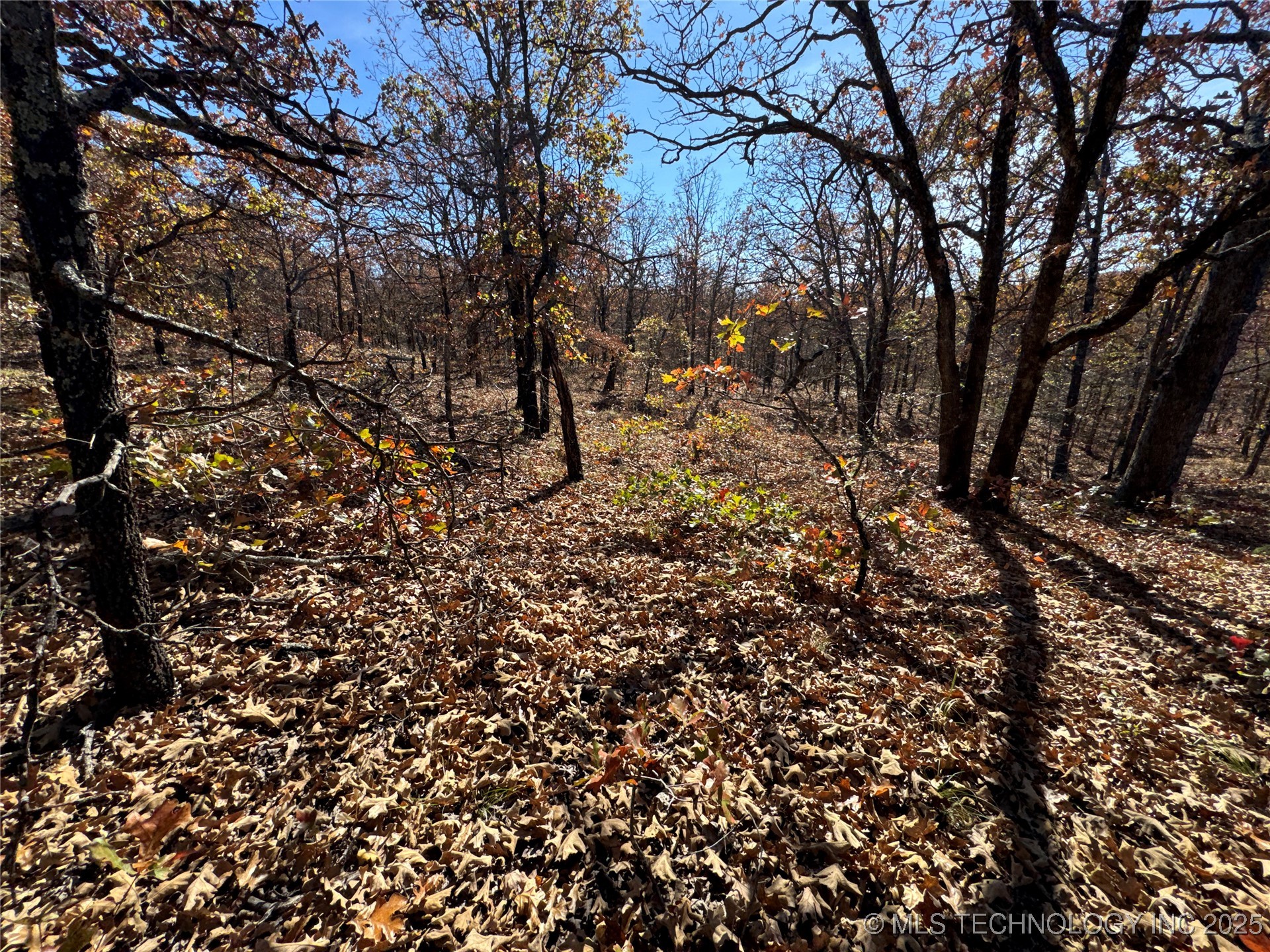 0000 S 209th Street S Property Photo 21