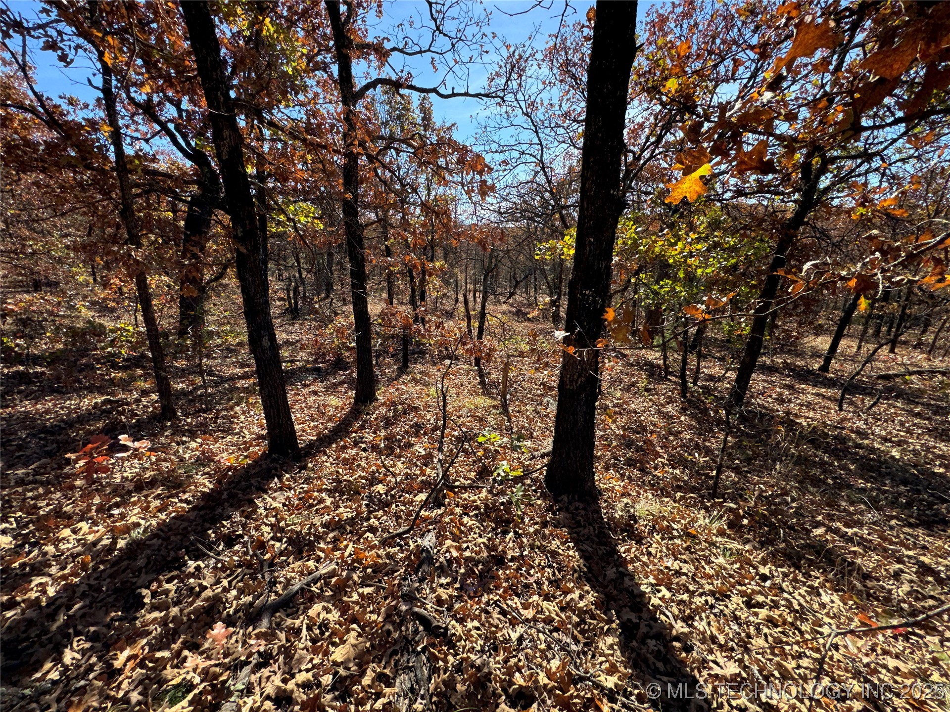 0000 S 209th Street S Property Photo 22