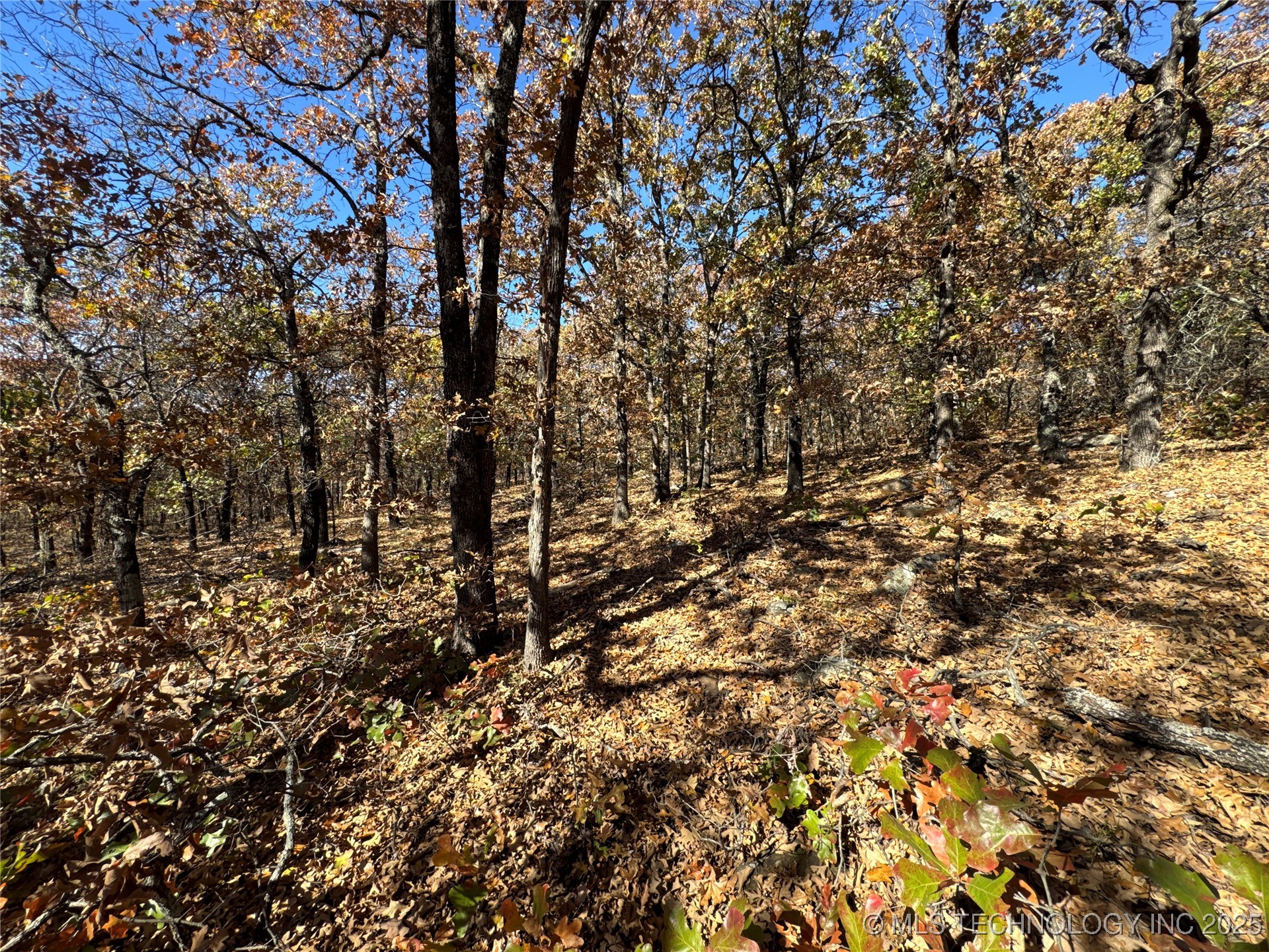 0000 S 209th Street S Property Photo 23