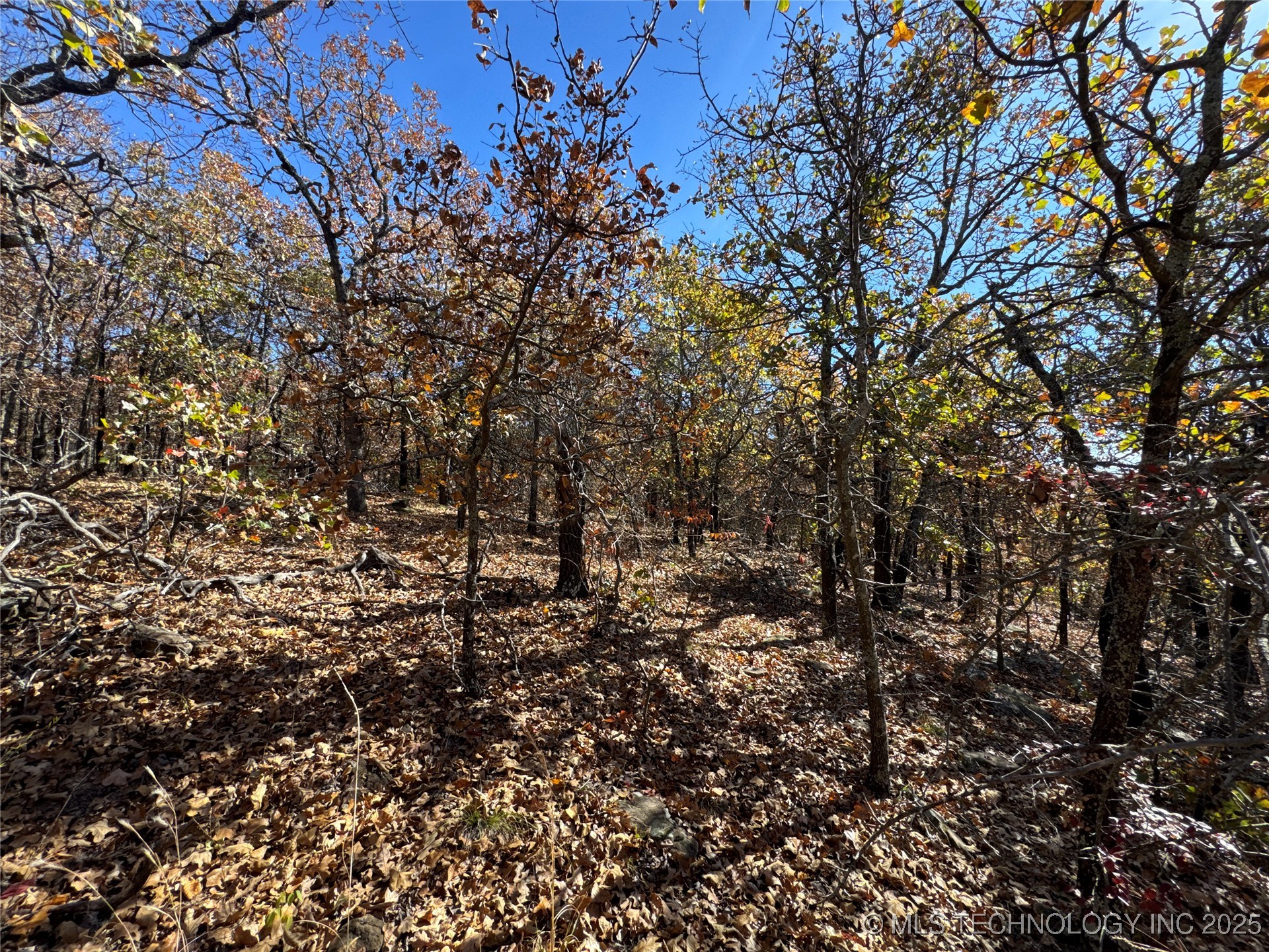 0000 S 209th Street S Property Photo 24