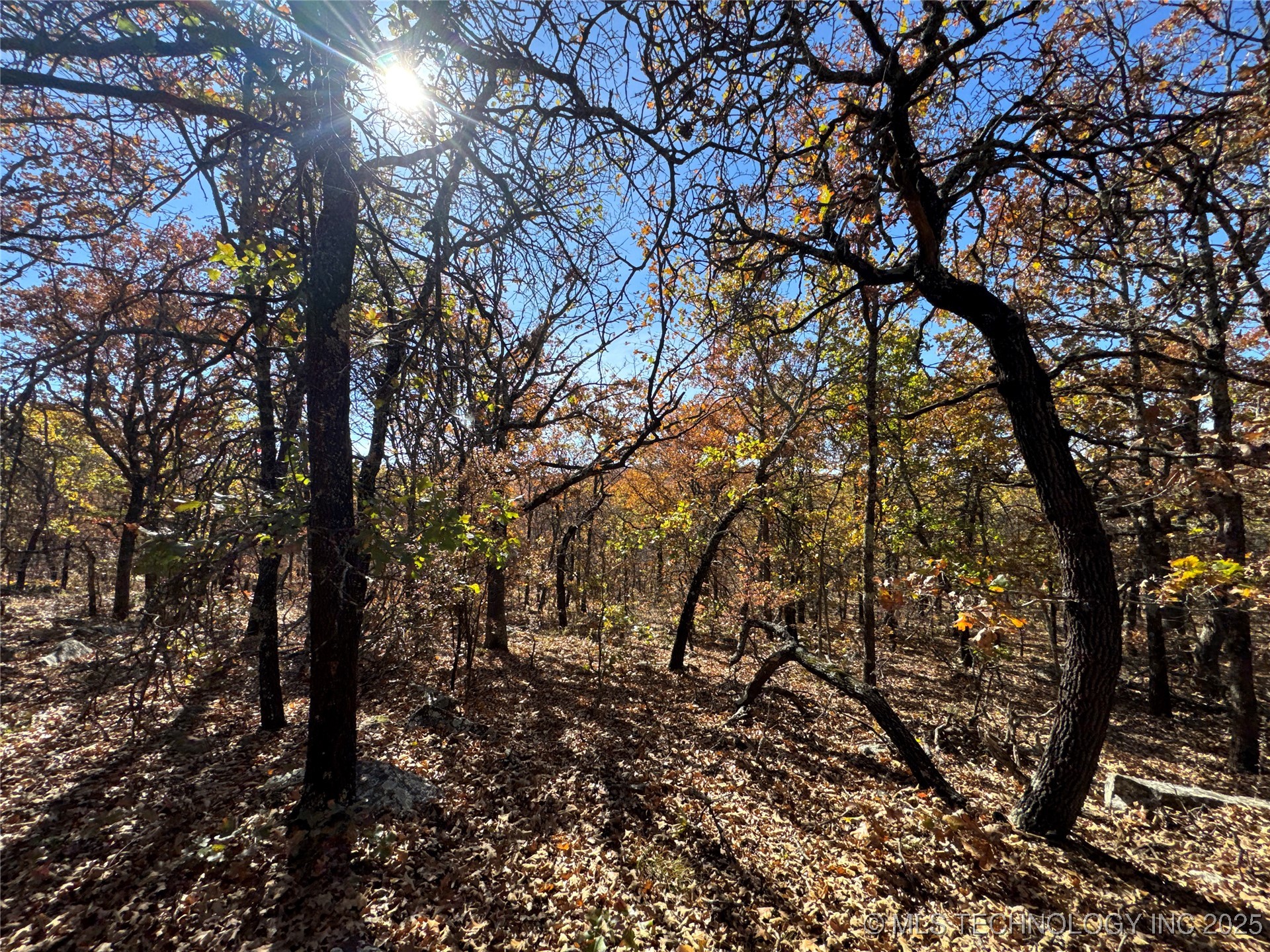 0000 S 209th Street S Property Photo 25