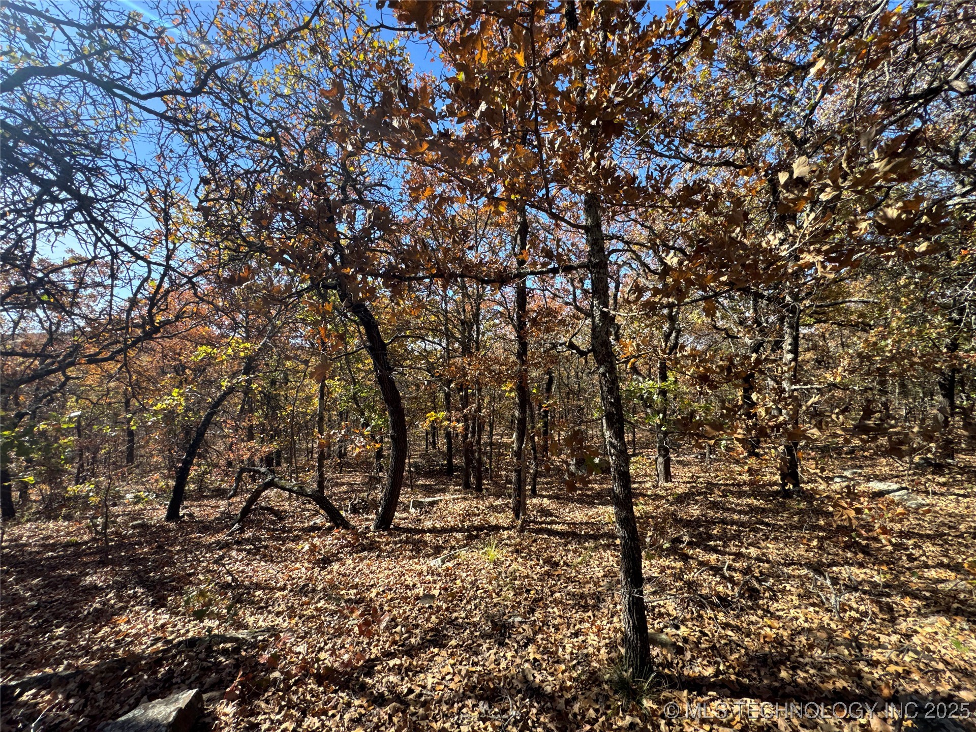 0000 S 209th Street S Property Photo 26