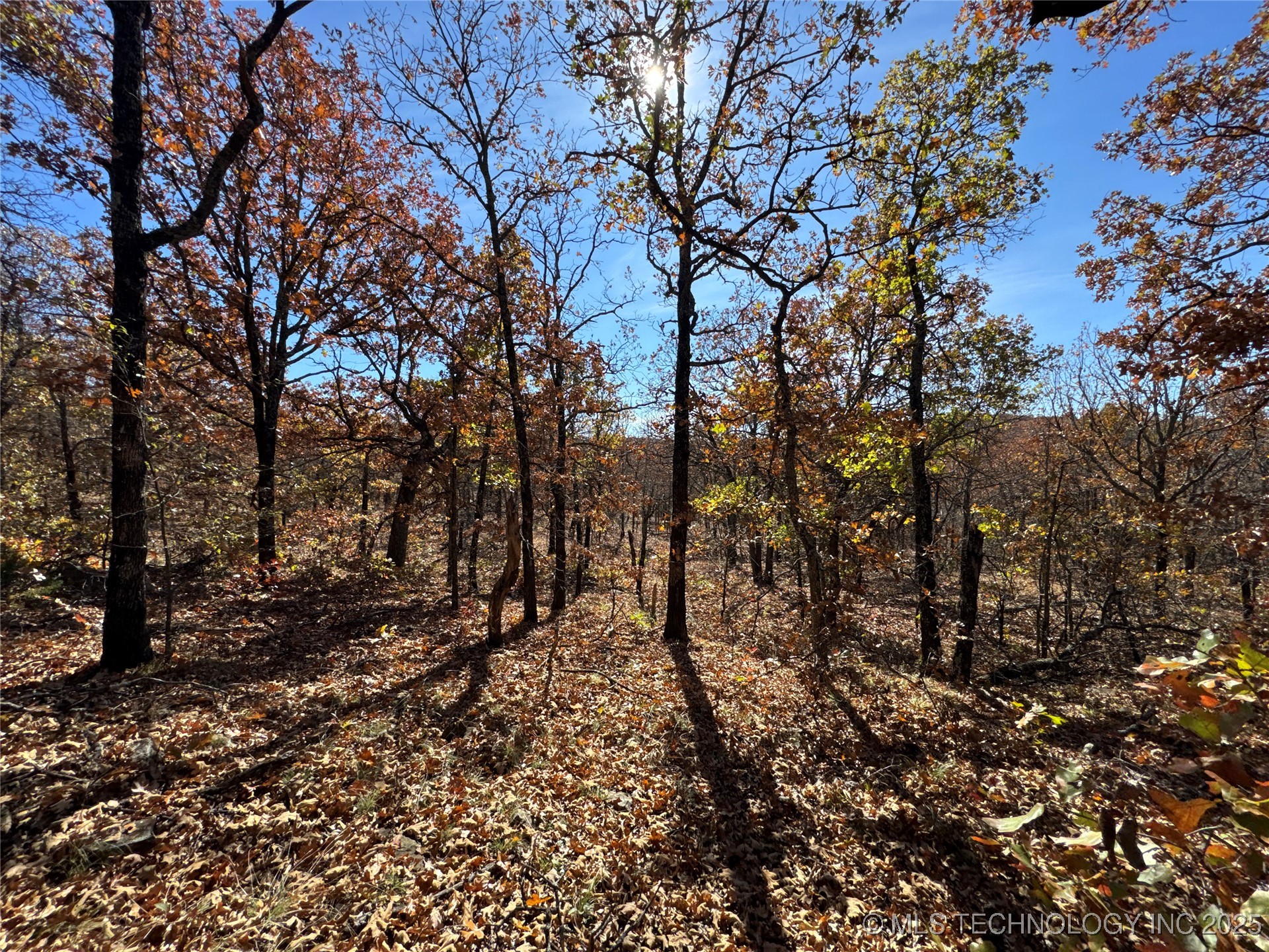 0000 S 209th Street S Property Photo 27
