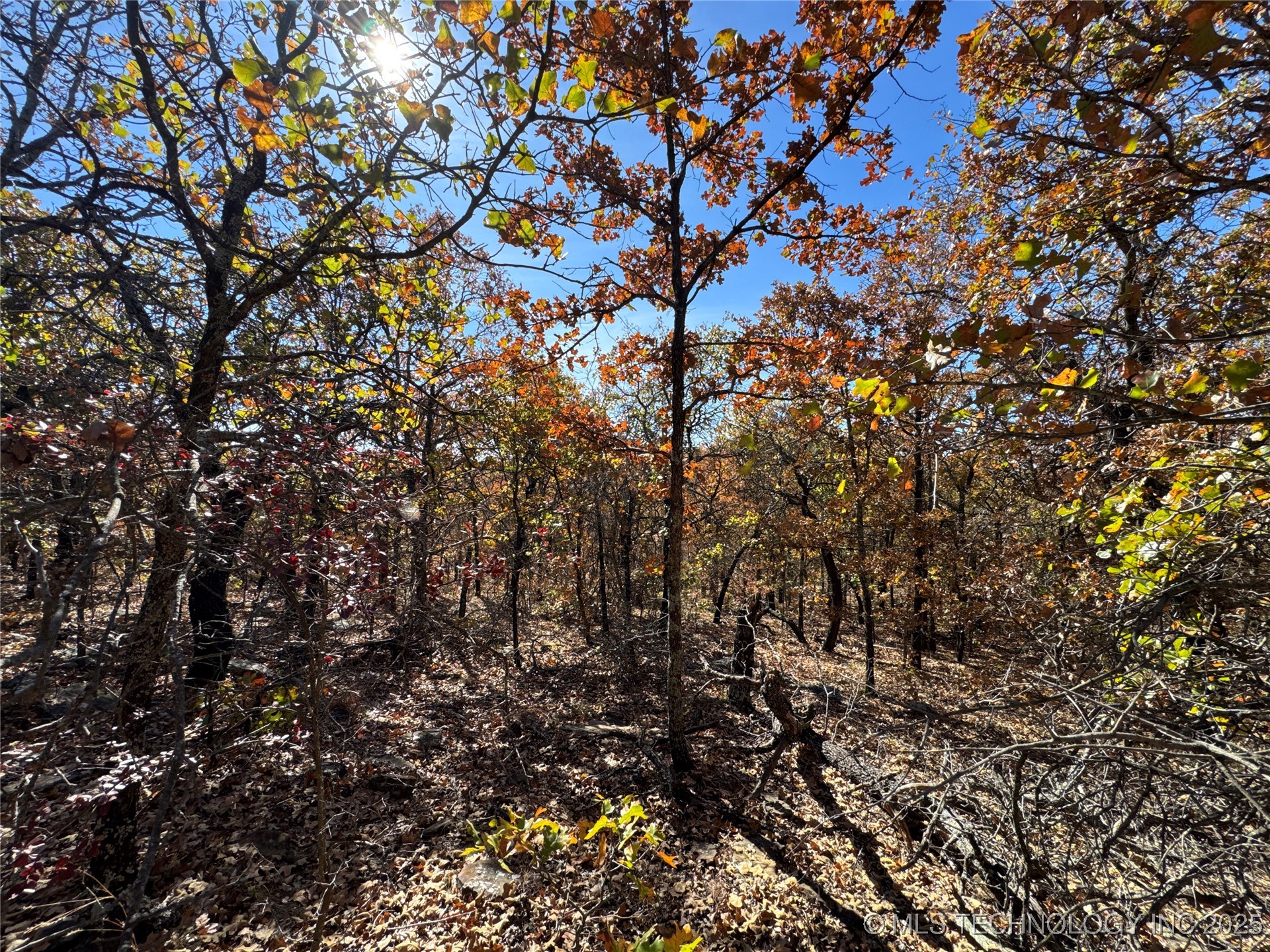 0000 S 209th Street S Property Photo 28