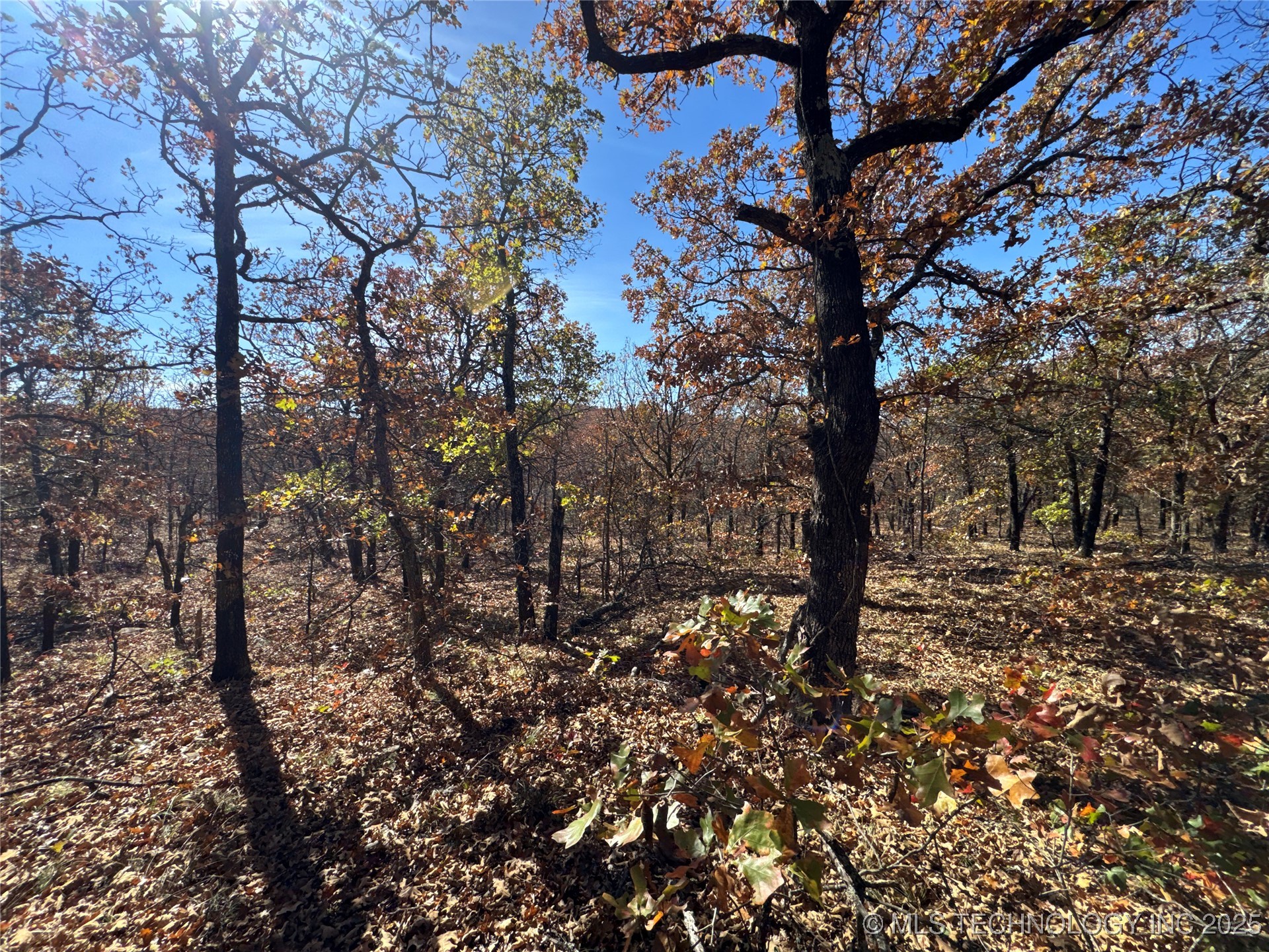 0000 S 209th Street S Property Photo 29