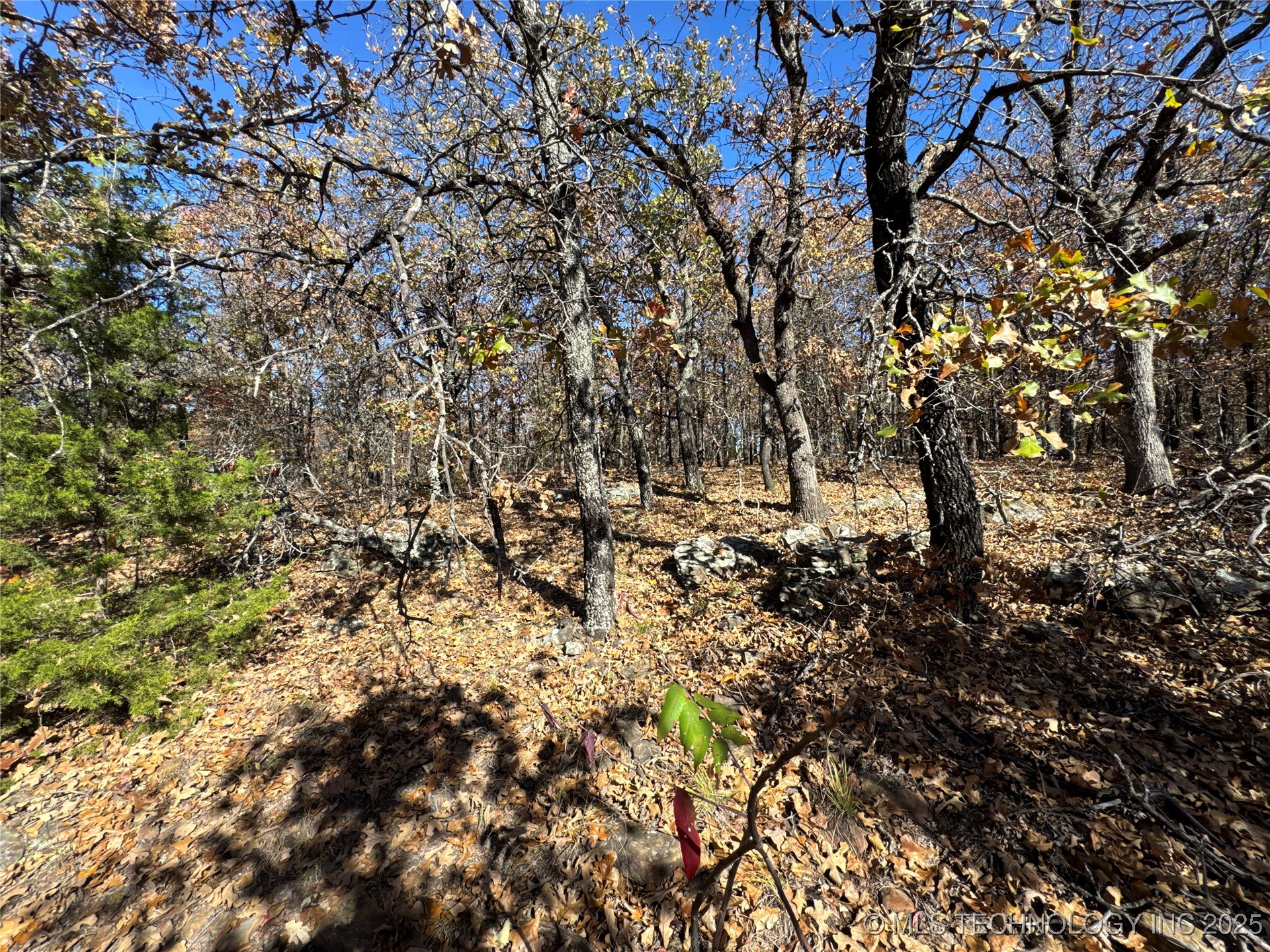 0000 S 209th Street S Property Photo 30