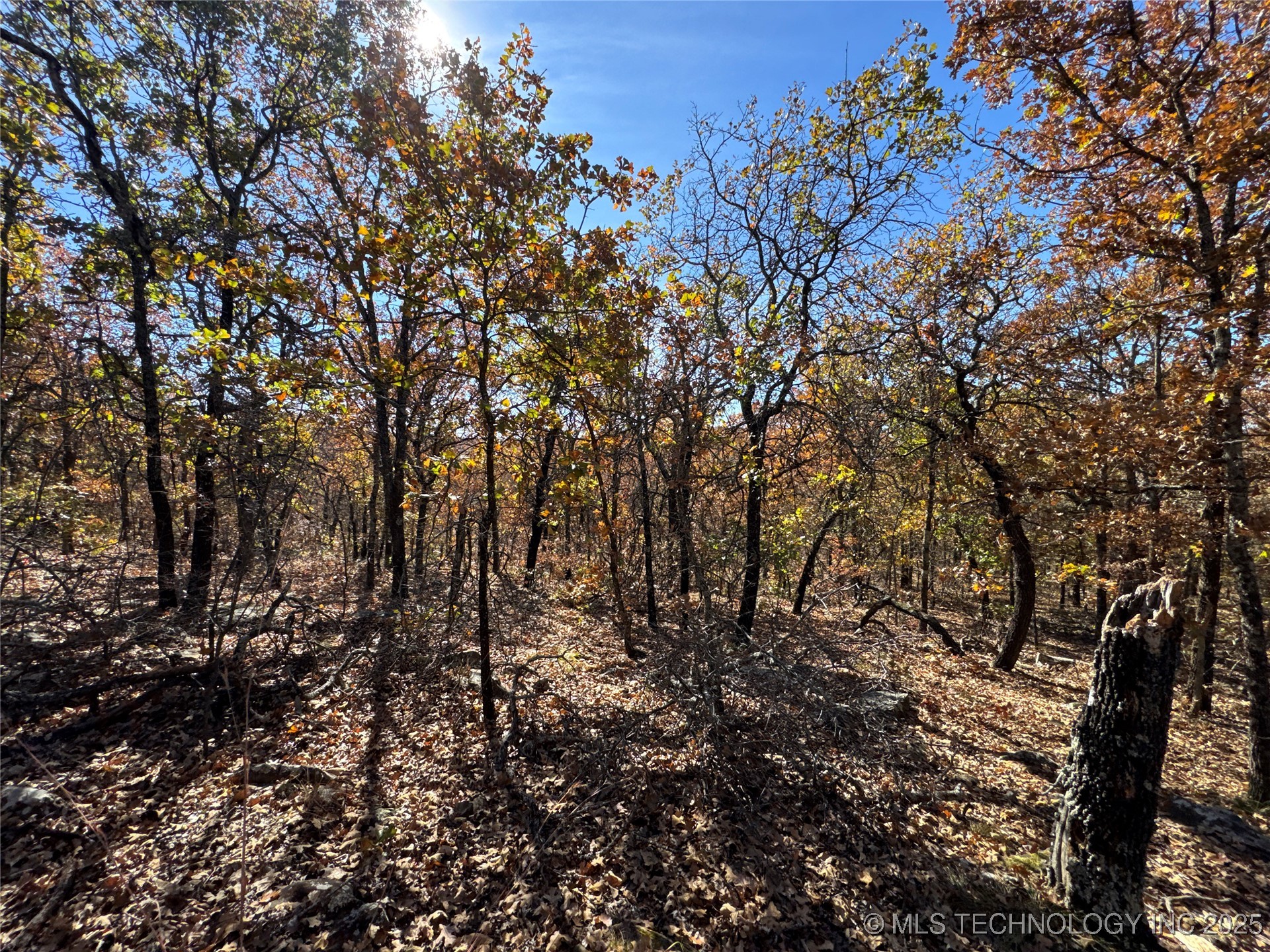 0000 S 209th Street S Property Photo 31