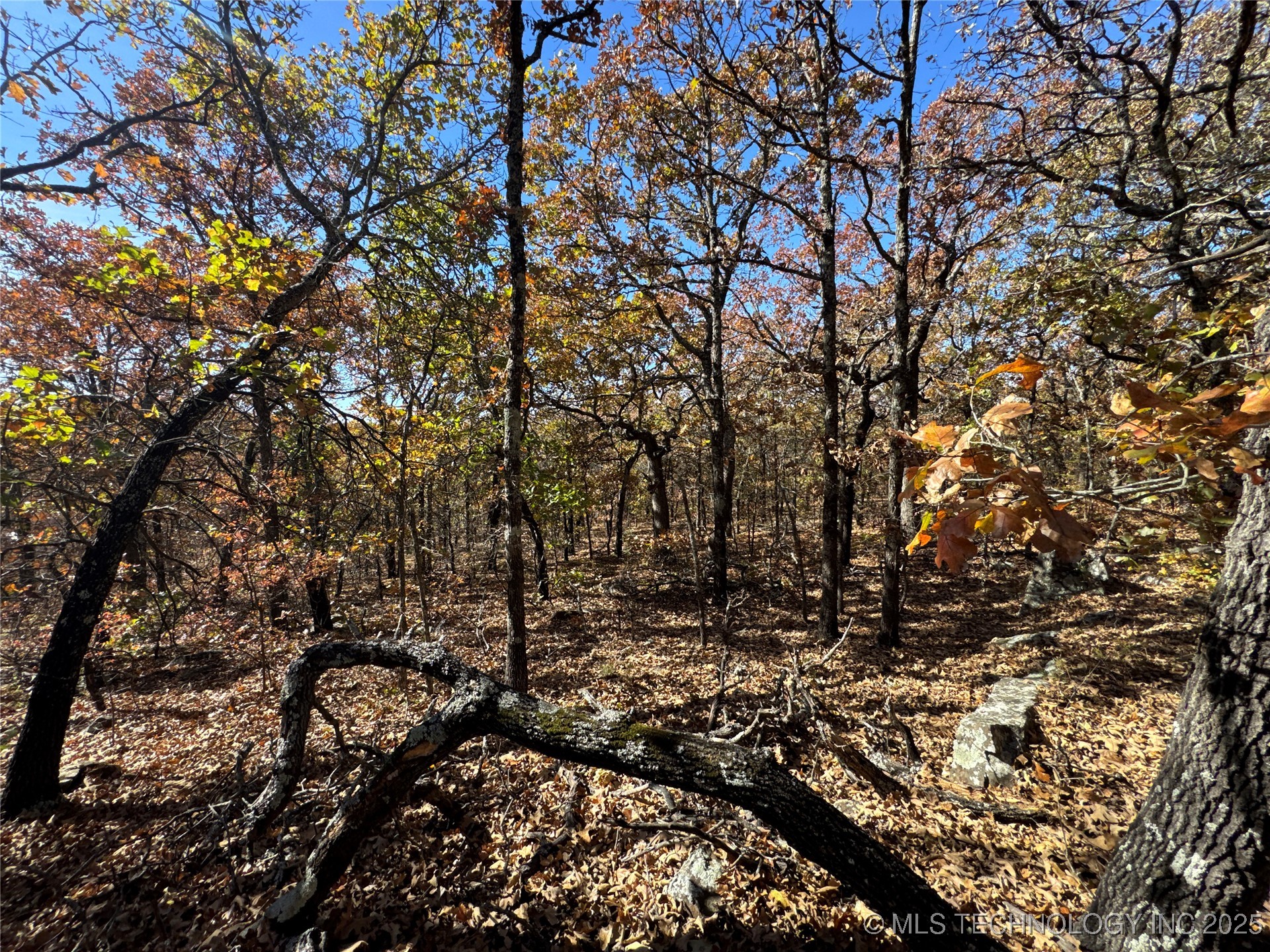 0000 S 209th Street S Property Photo 32